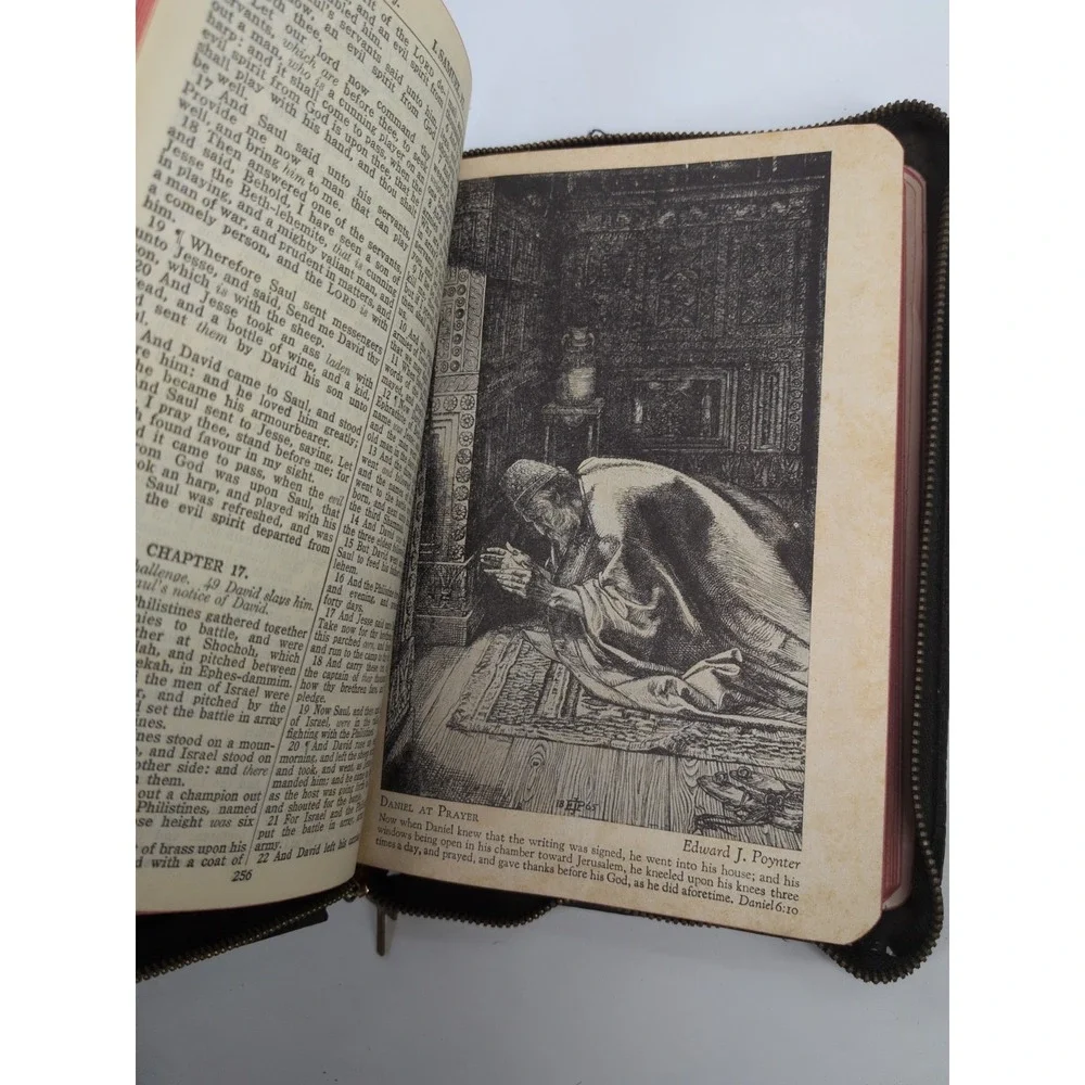 VNTG LOT 2 NEED TLC🚨Holy Bible KJV World Publishing Co. Illustrated -NO WRITING